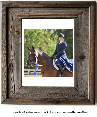 horse trail rides near me in Laurel Bay, South Carolina